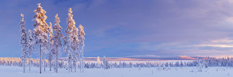 paysage-de-milou-en-laponie-finlandaise-en-hiver-au-coucher-du-soleil-62535199.jpg